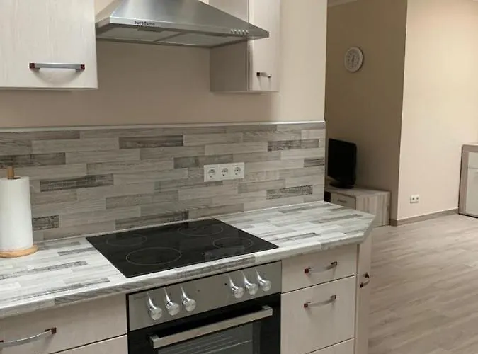 2raum-apartment Leznew Appartement *