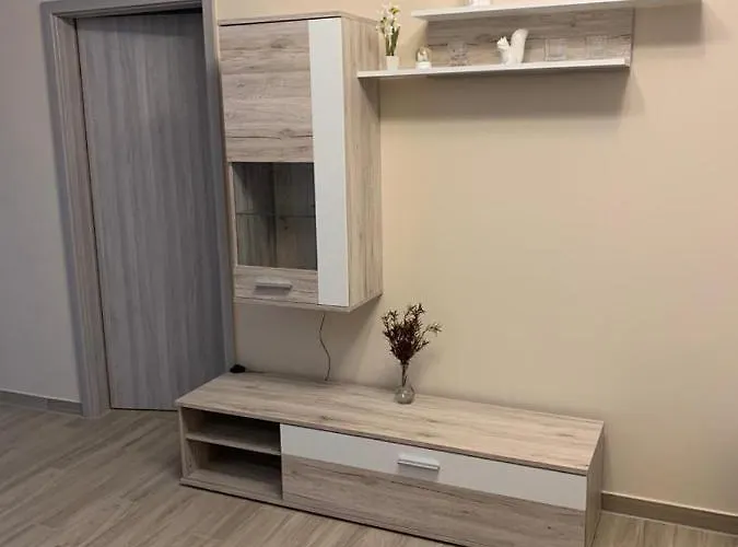 Appartement 2raum-apartment Leznew *